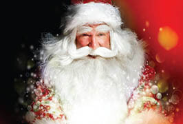 Dublin – Malahide Castle Christmas Experience
