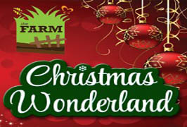 Cork – Christmas Wonderland at The Farm Grenagh