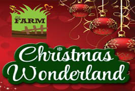 "Christmas Wonderland at The Farm Grenagh"