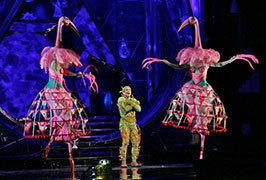 Nationwide – Magic Flute Screening