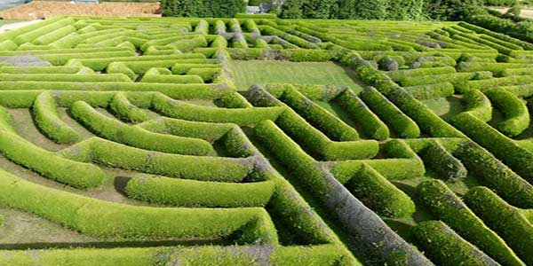 "Kildare Maze"