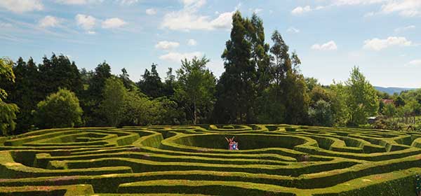 "Greenan Maze in Wicklow"