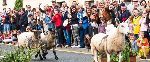 "Dunshaughlin Harvest Festival Meath"