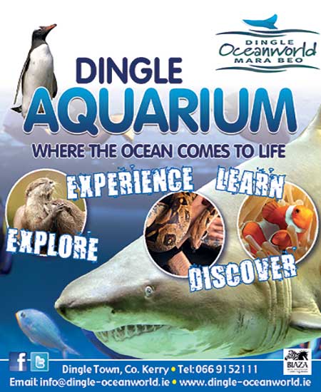 "Dingle Oceanworld Aquarium Kerry"