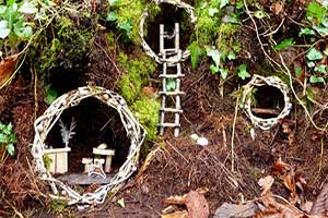 "Irish Fairy Trails Kerry"