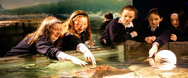 "School Tours at Dingle Oceanworld Aquarium"