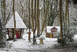 "Visit Santa At Castlecomer Discovery Park"