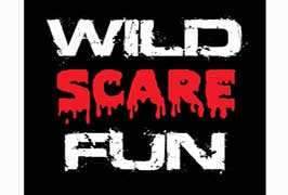 Dublin – Wild Scare Fun