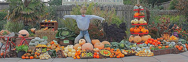 "Halloween at the Botanic Gardens"