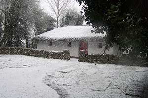 "Christmas In Lullymore Heritage and Discovery Park"