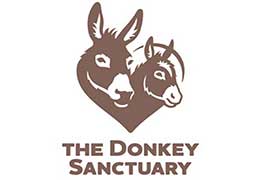 "Donkey Sanctuary"