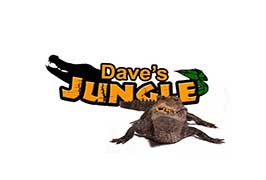 Dave’s Jungle Reptile Party