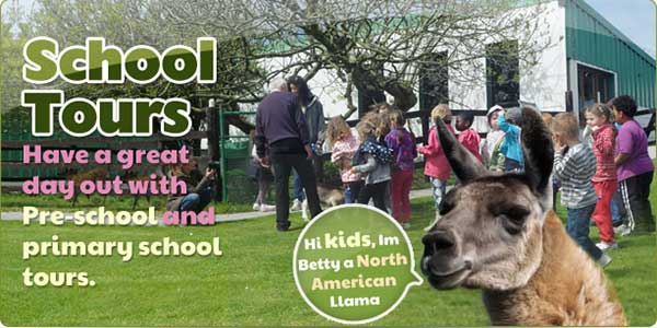 "Moher Hill Open Farm And Leisure Park School Tours"
