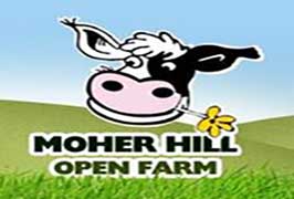 Clare – Moher Hill Open Farm and Leisure Park