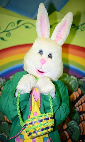 "Limerick Easter Bunny"