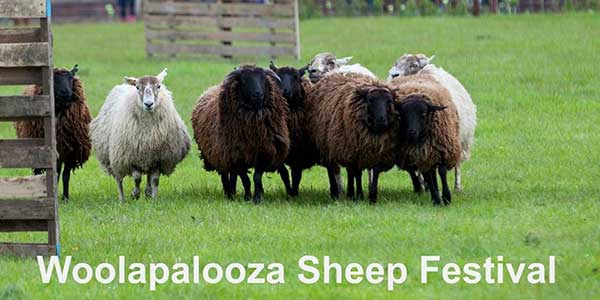 "Airfield Woolapalooza Sheep Festival"