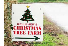 "Kelleher's Christmas Trees"