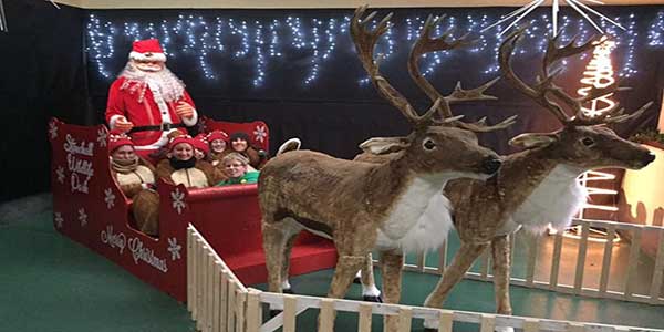 "Santas Grotto At Stonehall Visitor Farm & Wildlife Park"