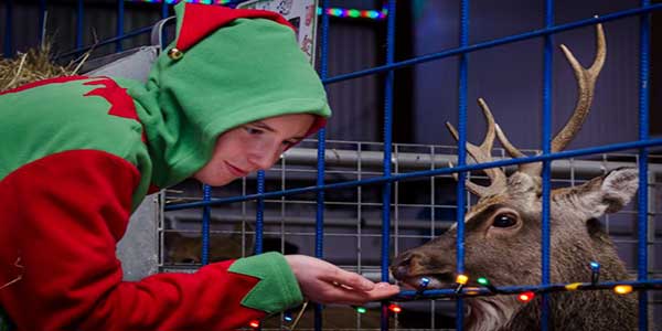 "Santa's Winter Wonderland at Kia Ora Mini Farm"