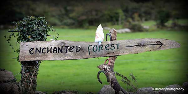 "The Slieve Aughty Enchanted Forest Experience"