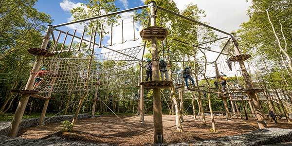 "The Castlecomer Discovery Octagon High Ropes Course"