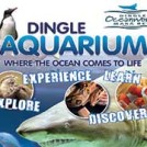 "Dingle Oceanworld Aquarium"