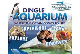 "Dingle Oceanworld Aquarium"