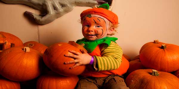 "Halloween Festival At Westport House"
