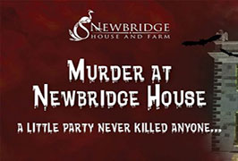 Dublin – Halloween at Newbridge House and Farm