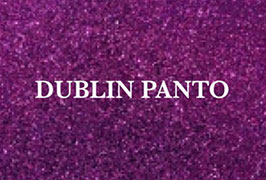 Dublin Panto – Peter Pan