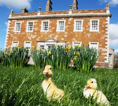 "Newbridge House and Farm"