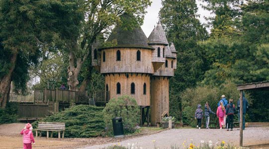 "Tree House in Birr Castle"