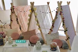 The Dream Teepee Party