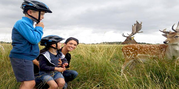 "Phoenix Park Bikes Dublin"