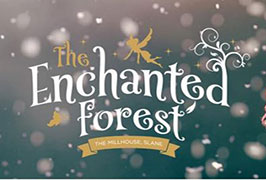 "Enchanted Forest Christmas Experience"