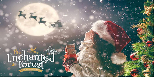 "Visit Santa at the Enchanted Forest Christmas Experience"