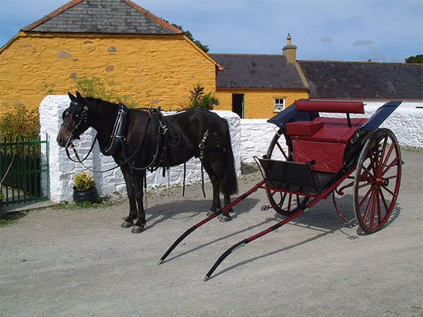 "Muckross Killarney"