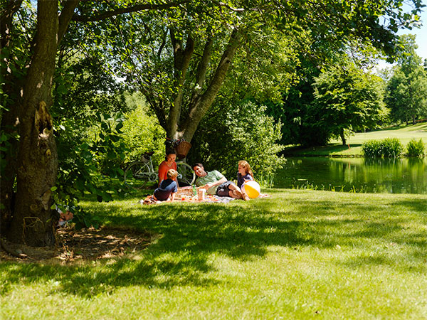 "Druids Glen Family Picnic"