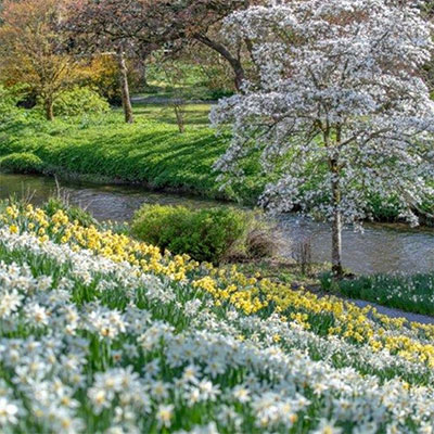 "Birr Castle Demesne Garden Walk"