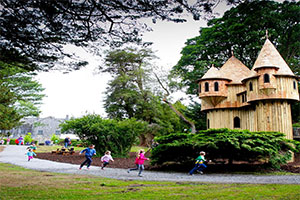 "Birr Castle Demesne Treehouse"