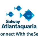 "Galway Aquarium Family Friendly Tour"