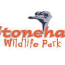 "Stonehall Wildlife Park Limerick"