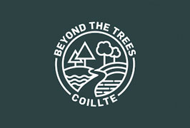 "beyond the trees coillte"