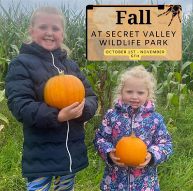 "secret valley wildlife park wexford halloween fun"