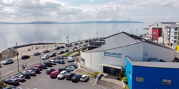 "the aquarium is located along the wild atlantic way in salthill galway city ireland"