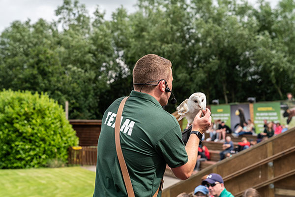 "emerald park world of raptors show"