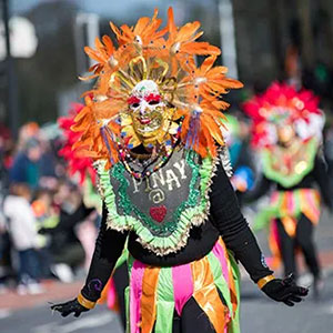 ''St Patrick's Day Parade Waterford''