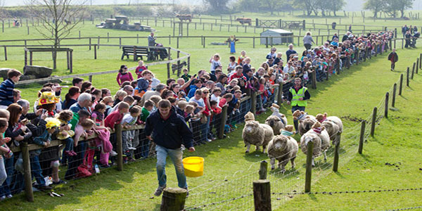 ''Newgrange Farm''