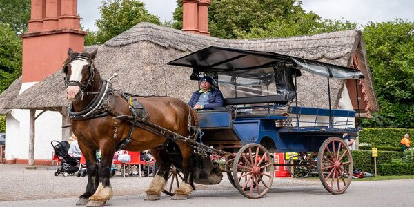 ''Killarney Lake Tours''