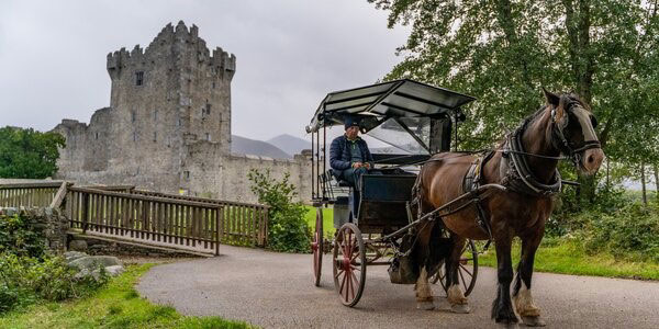 ''Killarney Lake Tours''